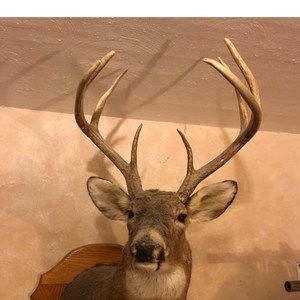 Meet your Posher, Shawn